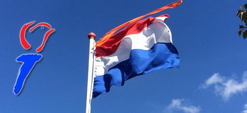 vlag en logo bevrijdingsdag