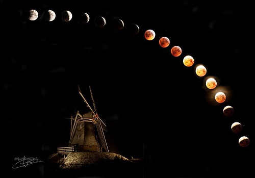 bloedmaan coevorden gert hilbink