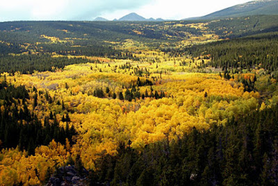 pando vanuit de lucht