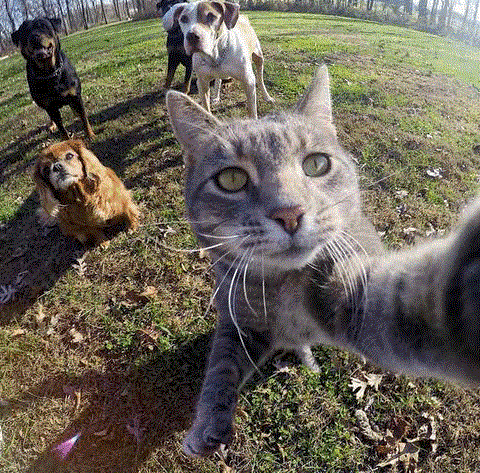 woof and me