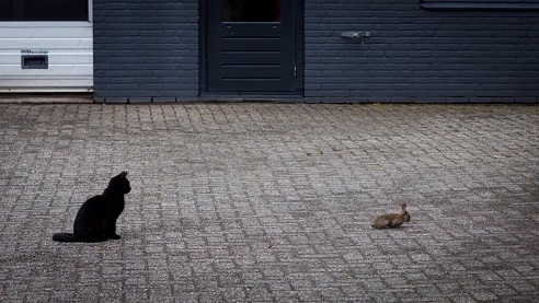 geen pasen