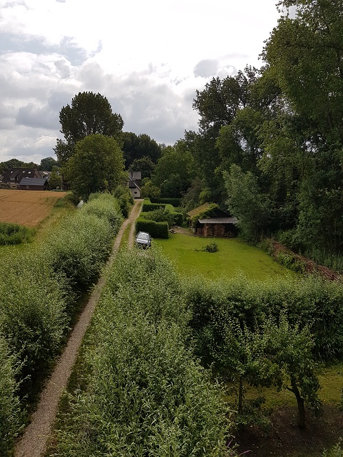 uitzicht stam 2 populier