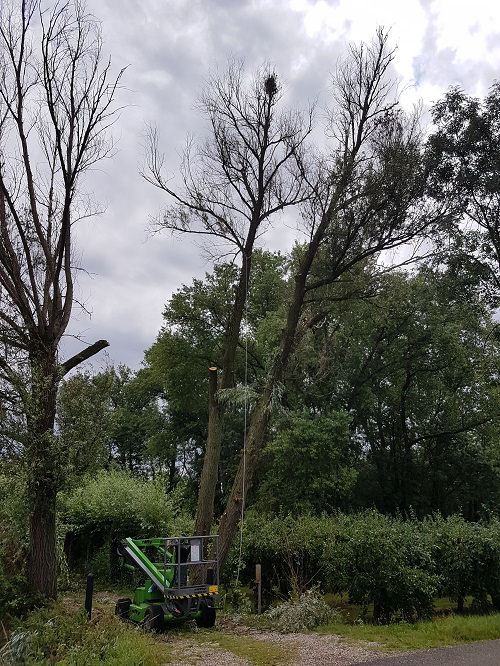 takken verwijderen met een hoogwerker