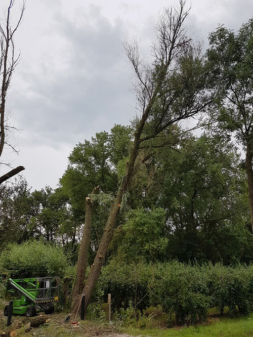 takken verwijderen met een hoogwerker