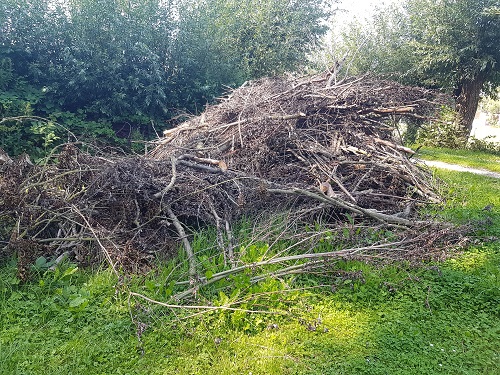 bladeren en kleine takken troep