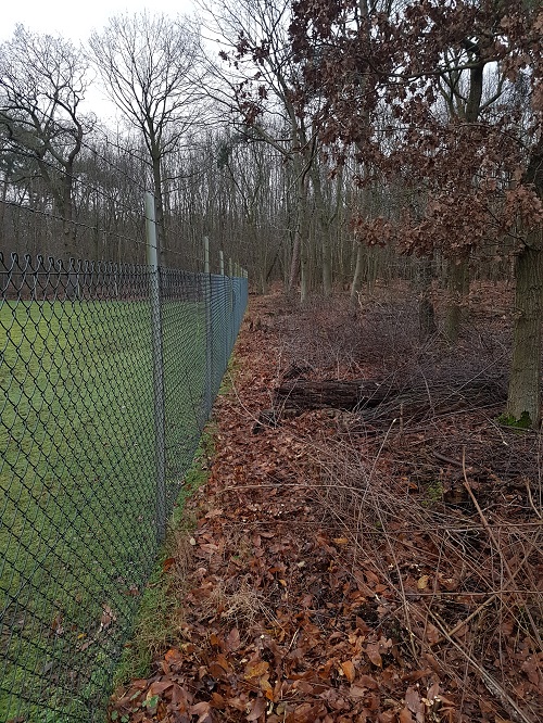 klein onderhoud bosperceel