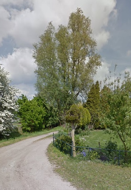nieuwe klus, grote populier, afbeelding van google streetview