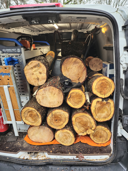 efficient geladen hout en kruiwagen