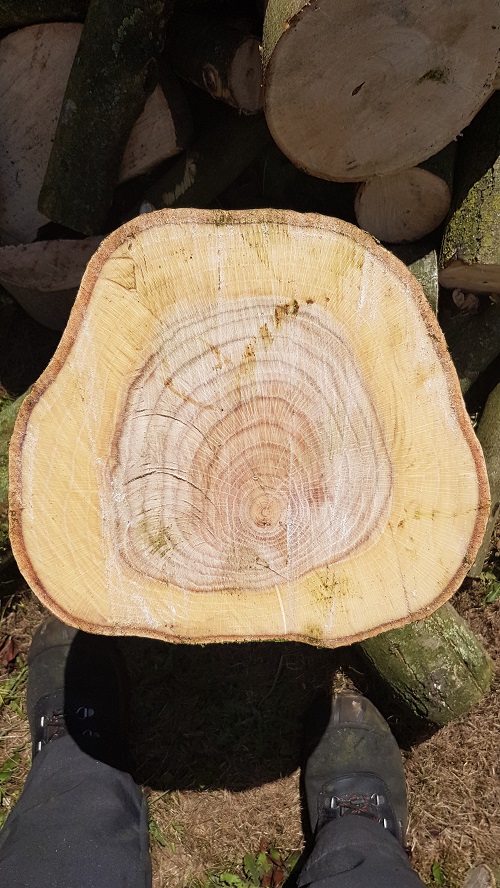 structuur 35 cm eik
