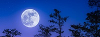 volle maan