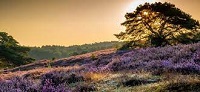natuur