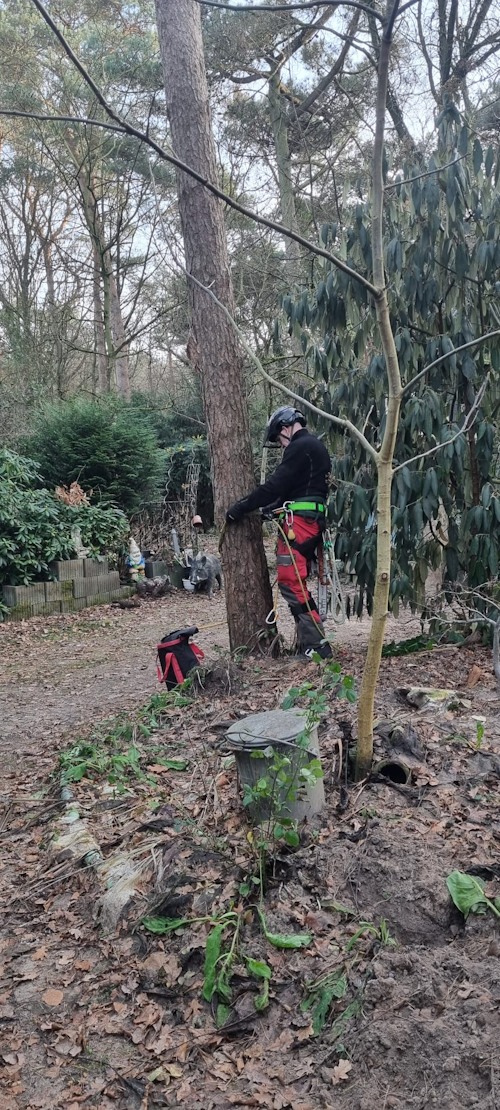 klimmend een den afbreken: onderaan beginnen