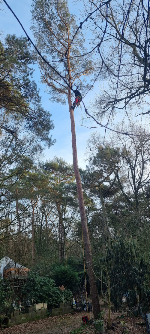 bijna in de top om die er uit te zagen