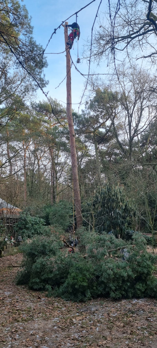 de top er uit, afblokken naar beneden