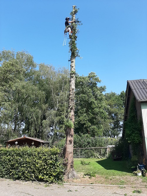 de takken er af en top er uit, naar beneden om af te blokken