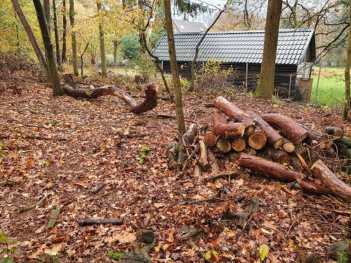 nog op te ruimen grove den