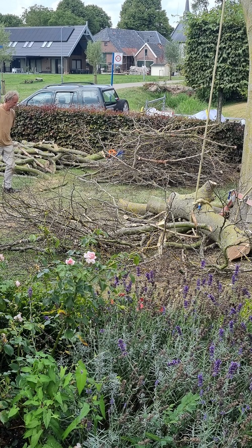 laatste deel van dikke tak afvangen