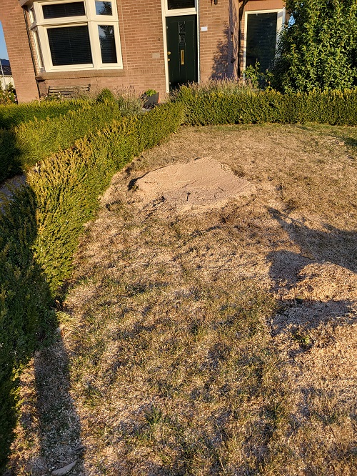 zo dicht mogelijk aan de grnnd afgewerkt, enkel nog frezen