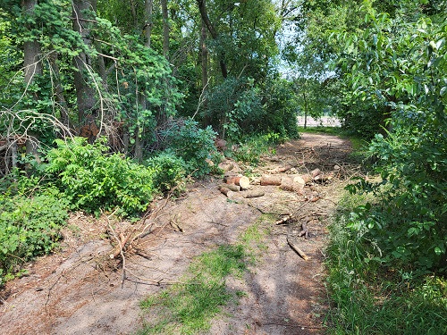 dode grove den op de grond