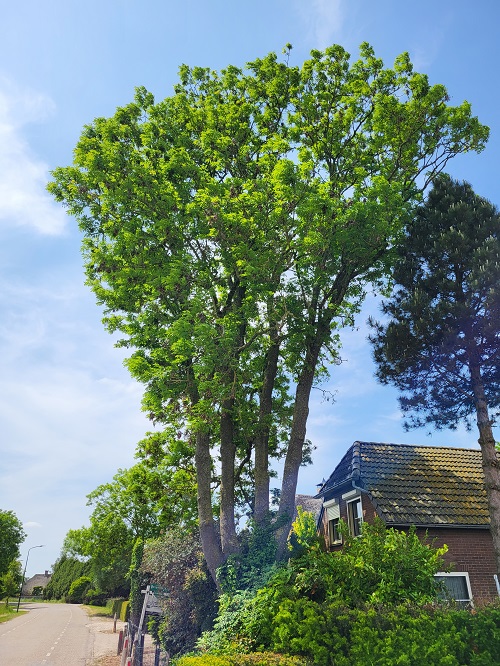 het startpunt van dit project