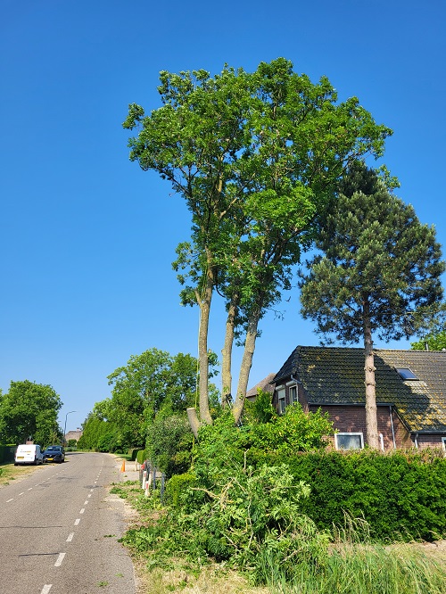 een goed begin is het halve werk
