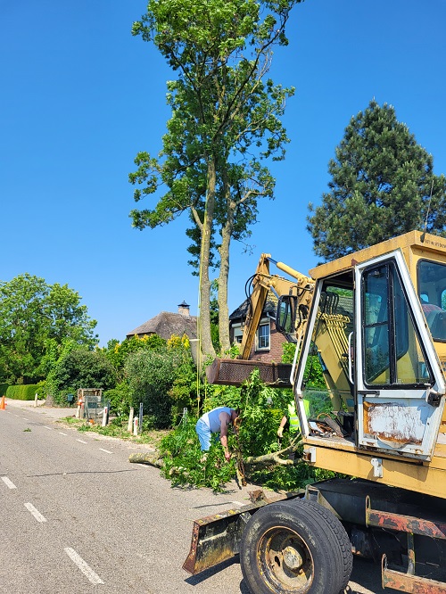 kraan om hout weg te slepen