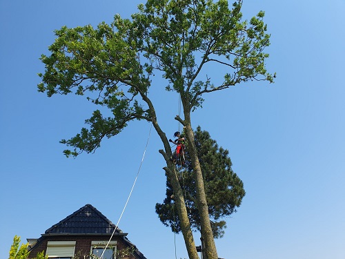 op eenzame hoogte *grin*