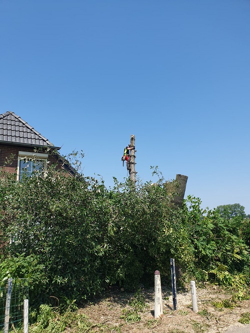 het afblokken van een den