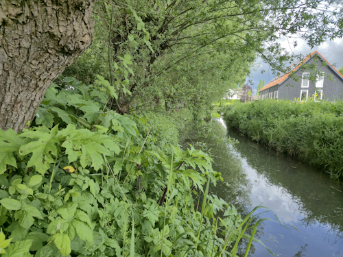 een A watergang voor het maaien