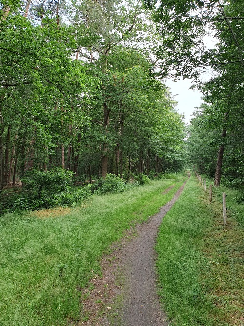 ingang perceel dorst zomer 2021
