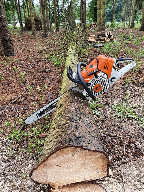 fijnspar veilig liggend op de grond
