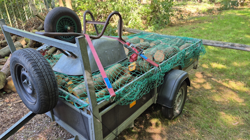 aanhanger geladen met stukken amerikaanse vogelkers