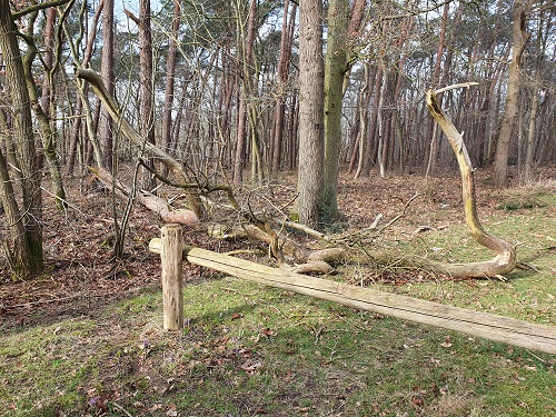 de enige schade in het brabants bosje wat ik in onderhoud heb