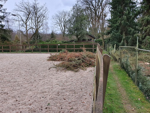 paardenbak vrij gemaakt