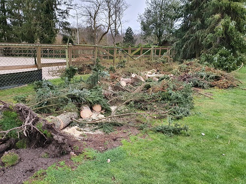 overzicht hekwerk en paardenbak