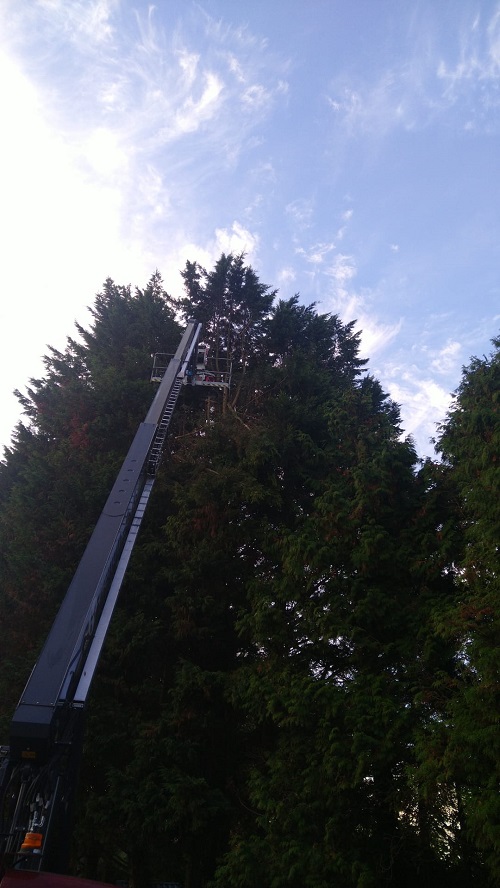 sonifeer toppen op 22 meter hoogte