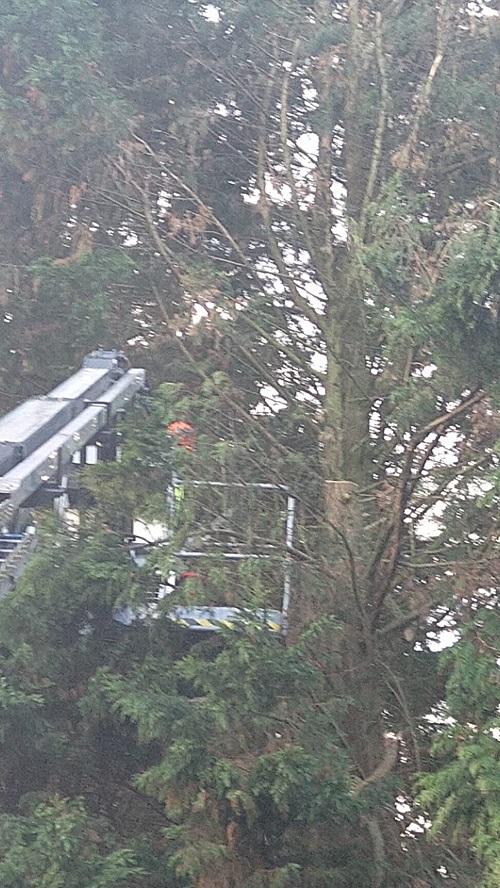 verstoppertje spelen op 22 meter hoogte