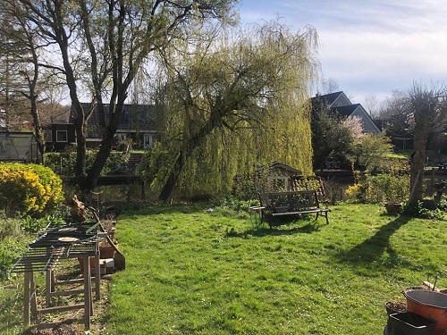 de tuin voor aanvang van het werk