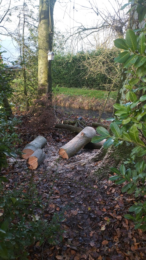 stamdelen verwerkt tot kachelhout