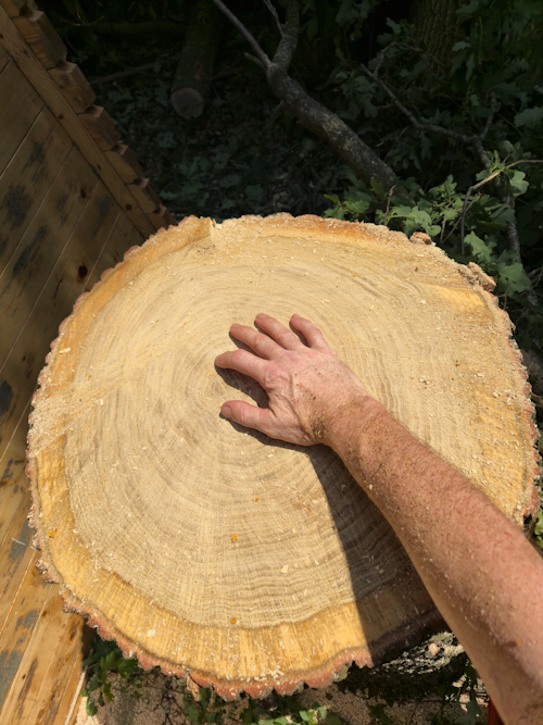 flinke diameter van deze eik