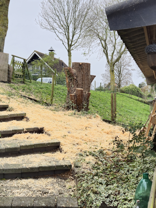 de overgebleven stobbe