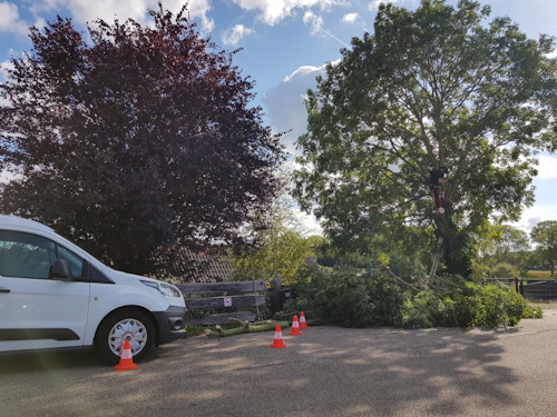 de auto en versnipperaar vlak bij het werk