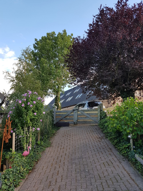 boom na de snoeiklus