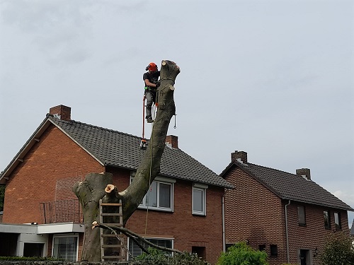laatste top verwijderd