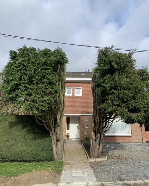 pad naar voordeur dwars door bomen gekapt