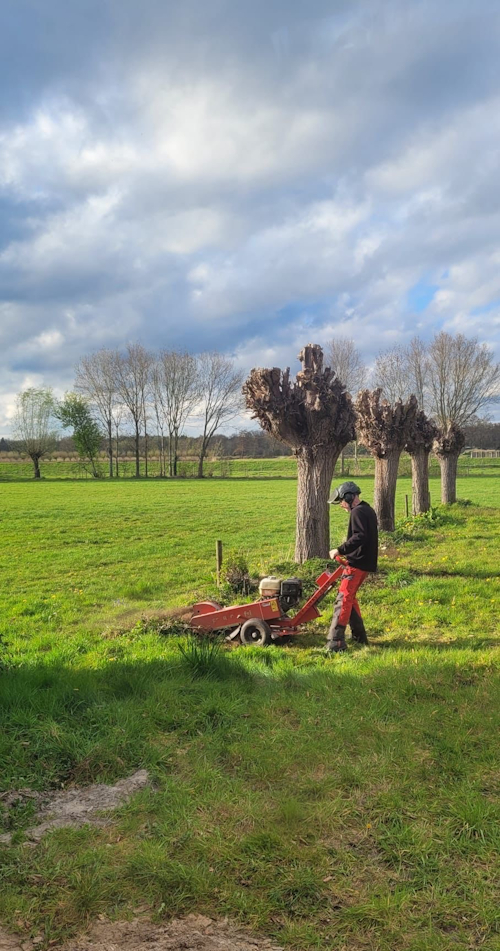 stobbe frezen in een prachtig ruime achtertuin
