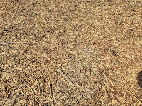 houtsnippers op een parkeerplaats