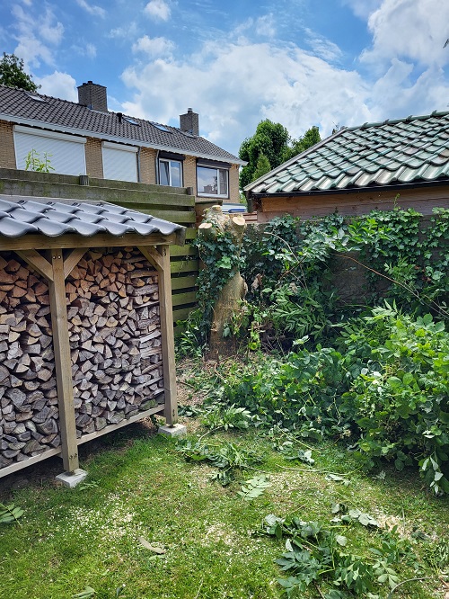 boom in eigen tuin klaar