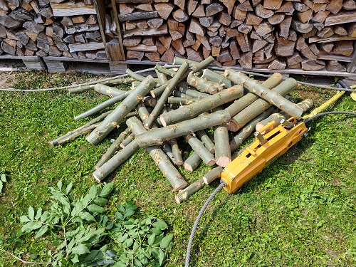 boom in eigen tuin