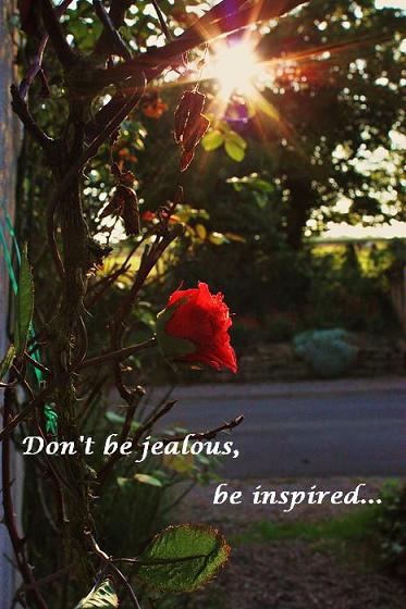 jealous inspired